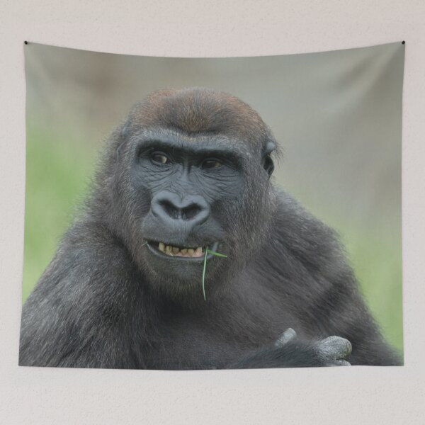 Item preview, Lovable Gorilla Rascal Lope designed and sold by rawshutterbug.