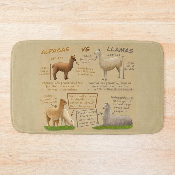 Artikelvorschau, Alpacas Vs Llamas Fun Facts entworfen und verkauft von troyanthonyart.