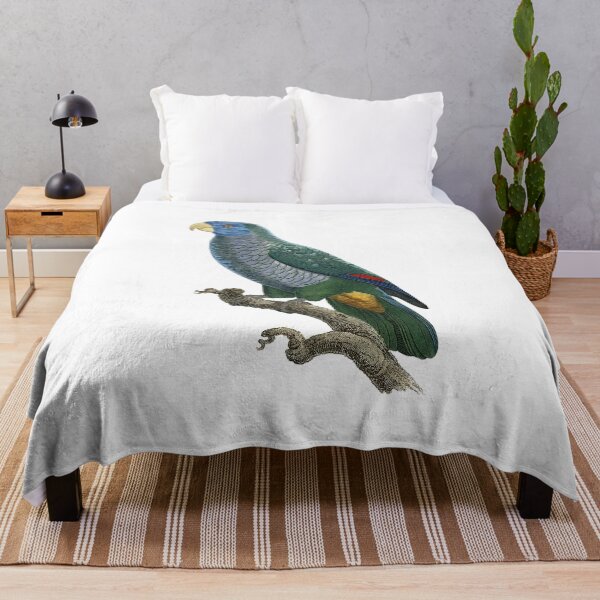 Item preview, Blue-headed parrot designed and sold by Photopicture.