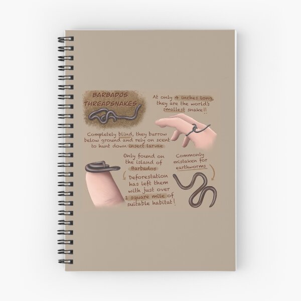 Item preview, Barbados Thread Snake Fun Facts designed and sold by troyanthonyart.