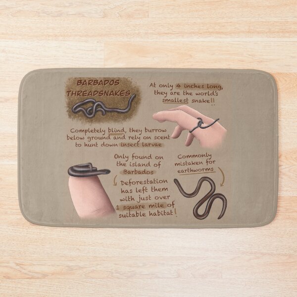 Item preview, Barbados Thread Snake Fun Facts designed and sold by troyanthonyart.