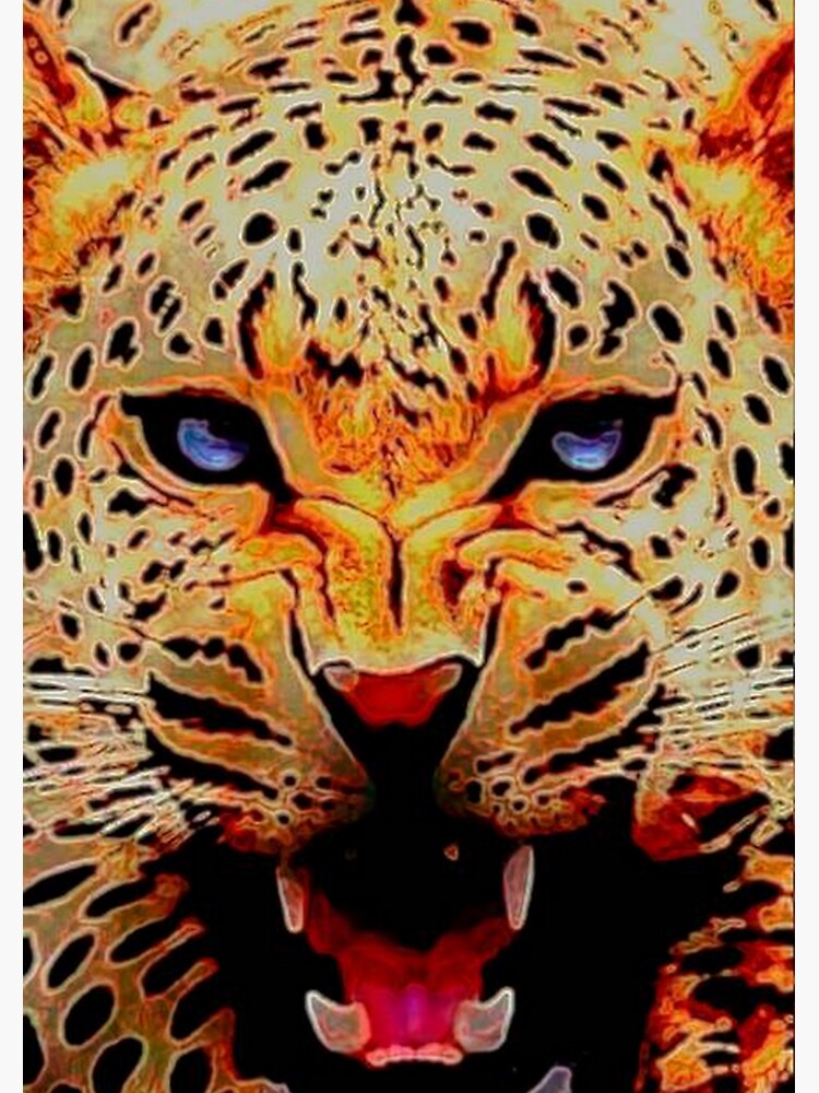 leopard by michaeltodd