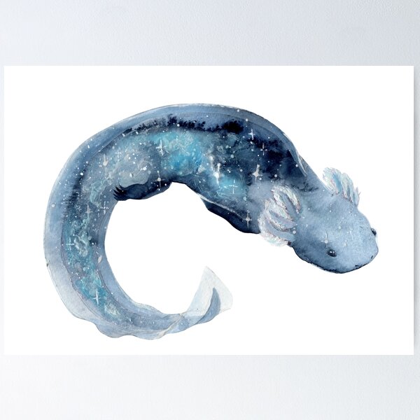 Axolotl  Charms – Aurigae Art &Illustration