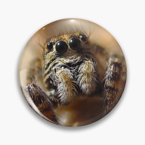 Item preview, Jumping Spider Friend designed and sold by Michelle McCullough.