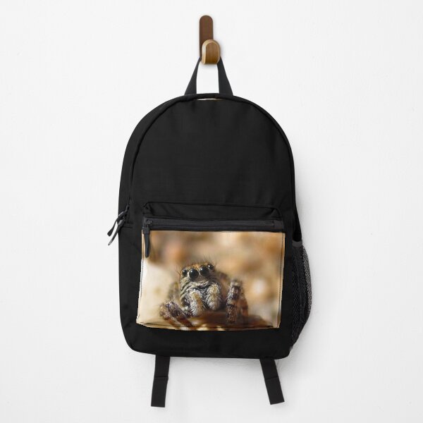 Item preview, Jumping Spider Friend designed and sold by Michelle McCullough.
