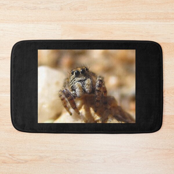 Item preview, Jumping Spider Friend designed and sold by Michelle McCullough.