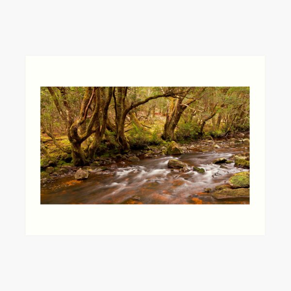 Pencil Pine Creek Art Print