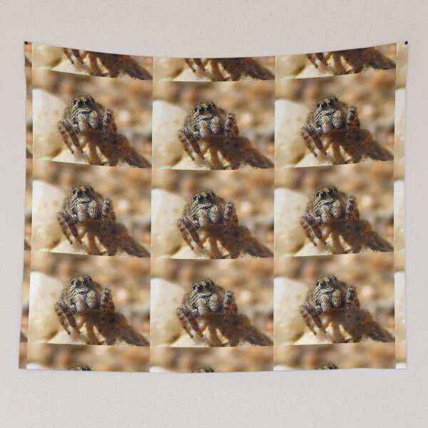 Item preview, Jumping Spider Friend designed and sold by Michelle McCullough.