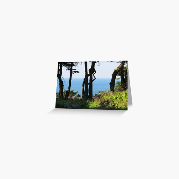 Water past trees Greeting Card