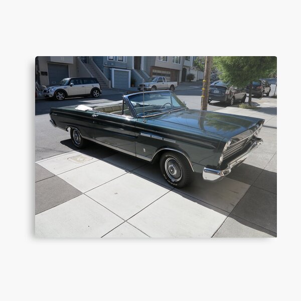 Garage Survivor Metal Print