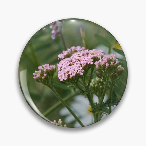 Item preview, Pink yarrow  45 designed and sold by Jouko Lehto Photography.