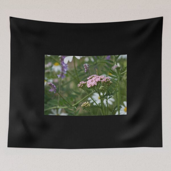 Item preview, Pink yarrow  45 designed and sold by Jouko Lehto Photography.