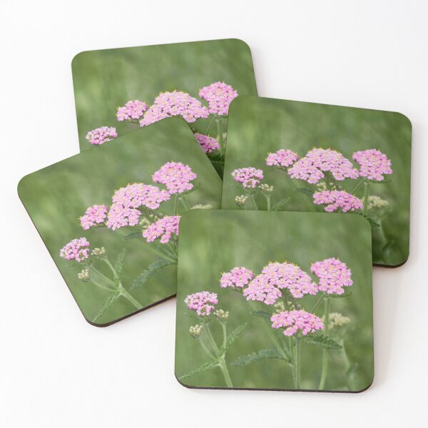 Item preview, Pink yarrow  45 designed and sold by Jouko Lehto Photography.
