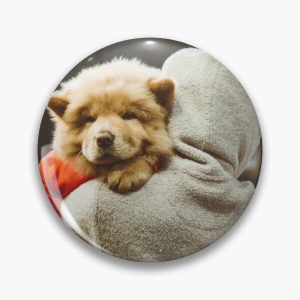 Family Pet Pins And Buttons Redbubble - a loyal chow chow roblox