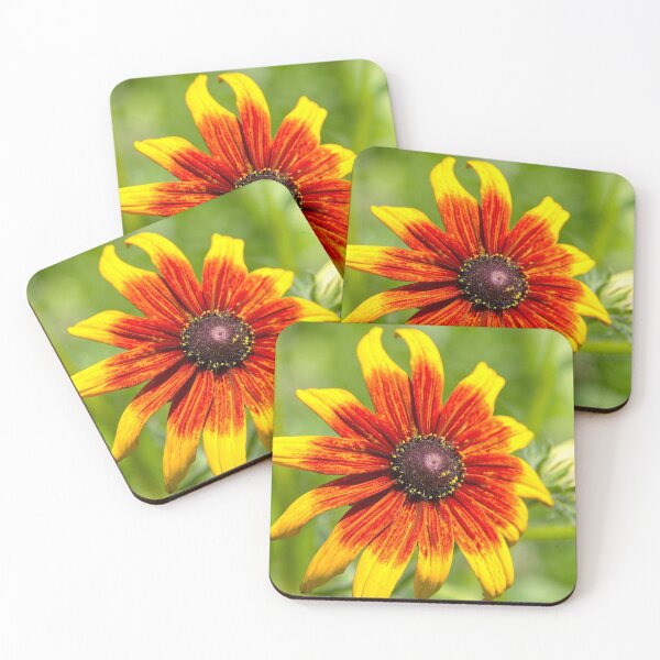 Item preview, Vibrant colors flower head designed and sold by Millenn.