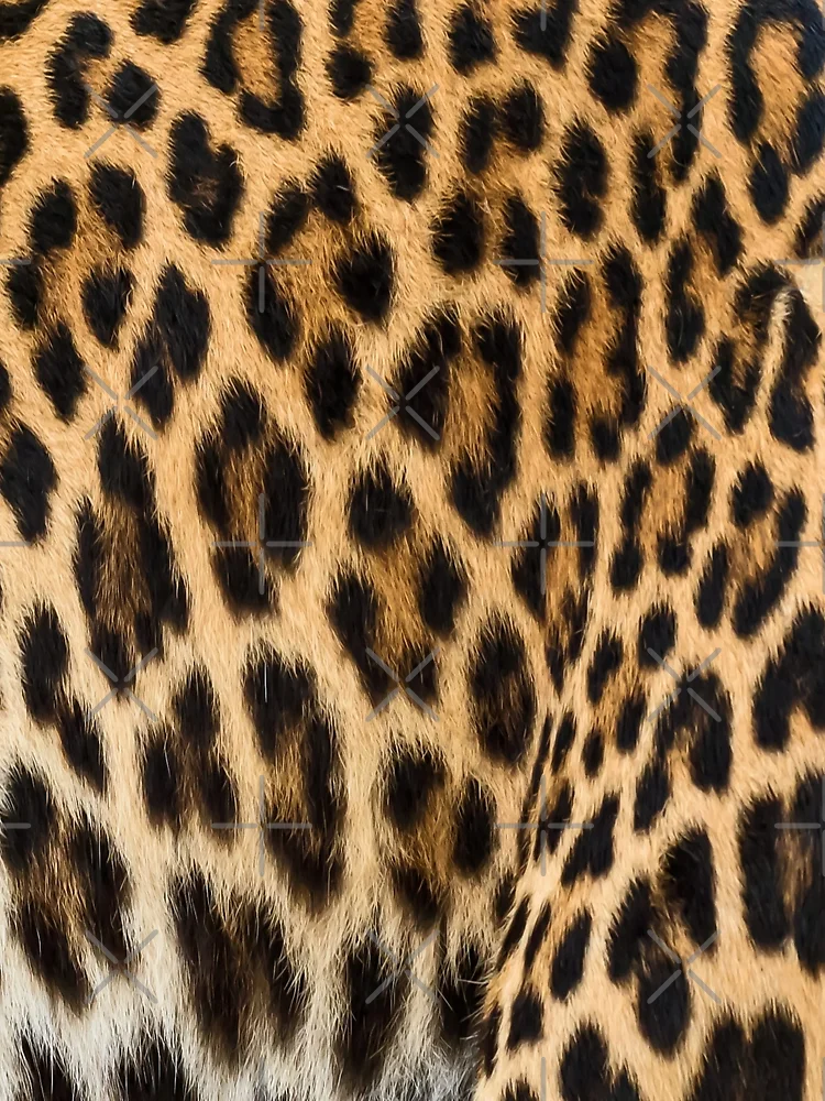Thumbnail 3 of 3, Scarf, Leopard patterns designed and sold by FoosDesigns.