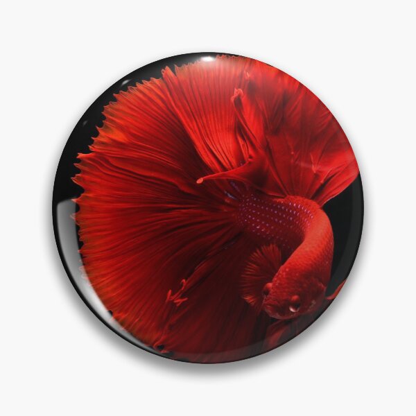 Item preview, fish picture close-up with black background designed and sold by smoky3334.