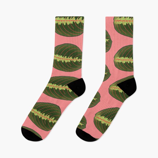 Item preview,  Maranta Leuconeura House Plant horizontal designed and sold by LeaWolf.