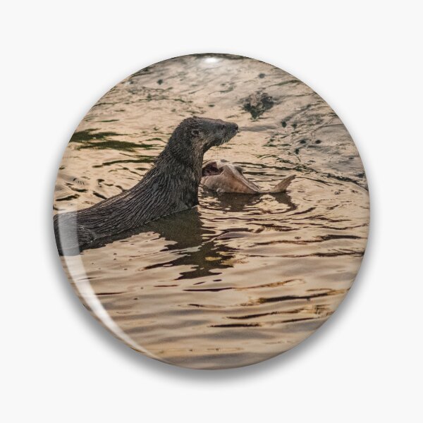 Artikelvorschau, Fluss Otter entworfen und verkauft von KensLensDesigns.