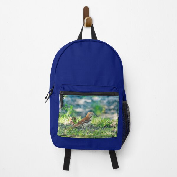 Item preview, brown thrasher 2 designed and sold by KensLensDesigns.