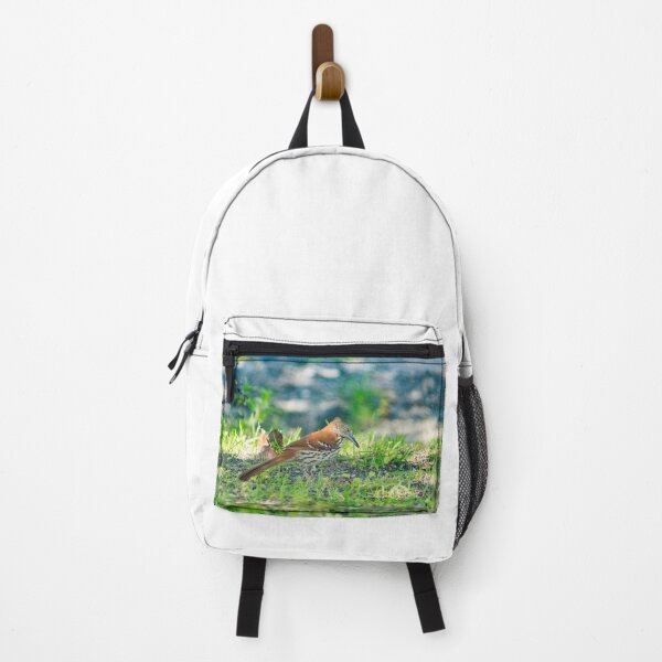 Item preview, Brown Thrasher designed and sold by KensLensDesigns.