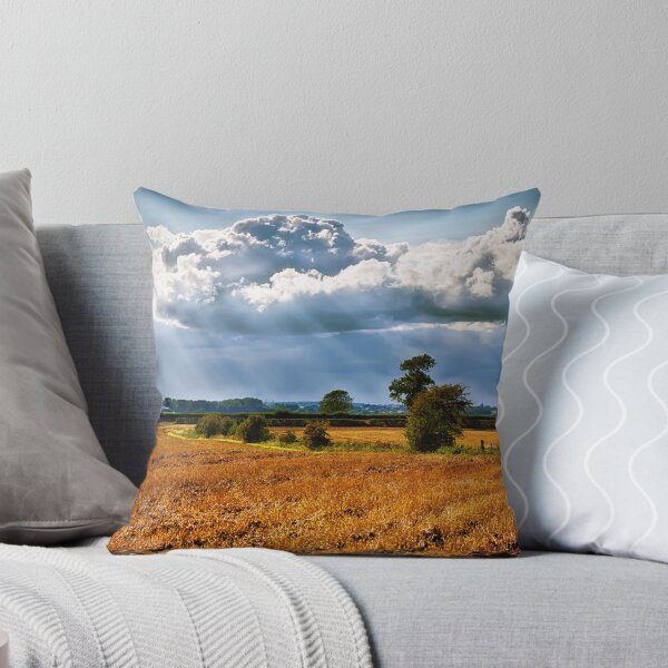 Item preview, Ever Changing designed and sold by Vicki Field.