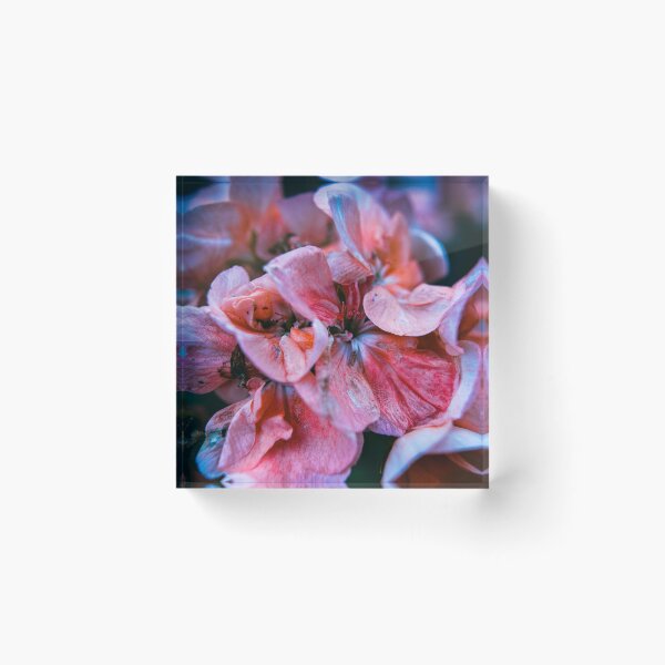 Item preview, Flowers in the Twilight designed and sold by Olympia Ellinas.