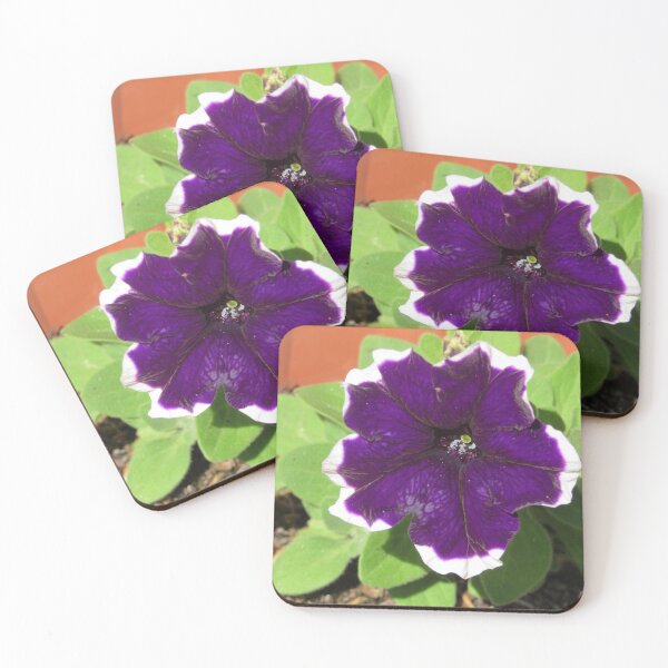 Item preview, Purple Petunia  designed and sold by WildandDivine.