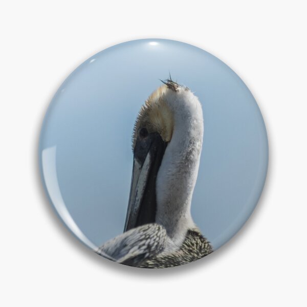 Artikelvorschau,   Porträt von Brown Pelican entworfen und verkauft von KensLensDesigns.