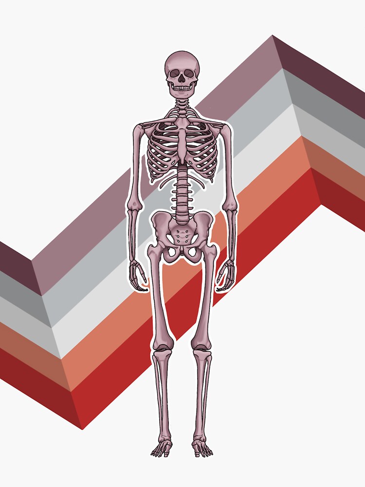 &ldquo;Geometric Skeleton&rdquo; Sticker by maggiemmartin | Redbubble