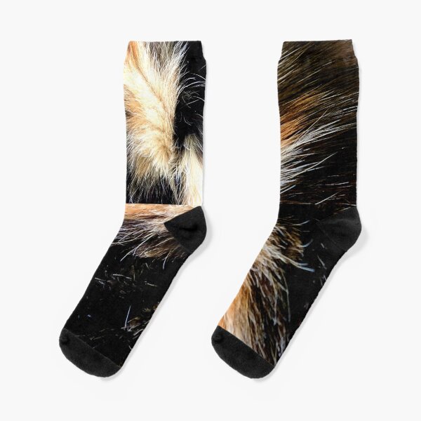 cat print Socks