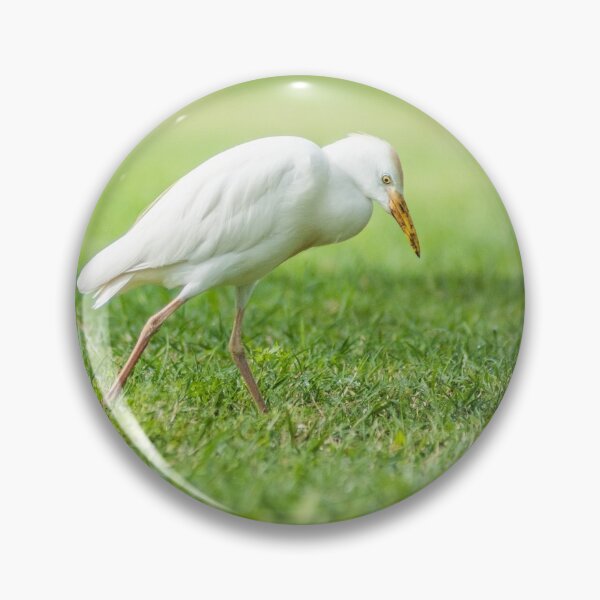 Item preview,  Cattle Egret 8 designed and sold by KensLensDesigns.