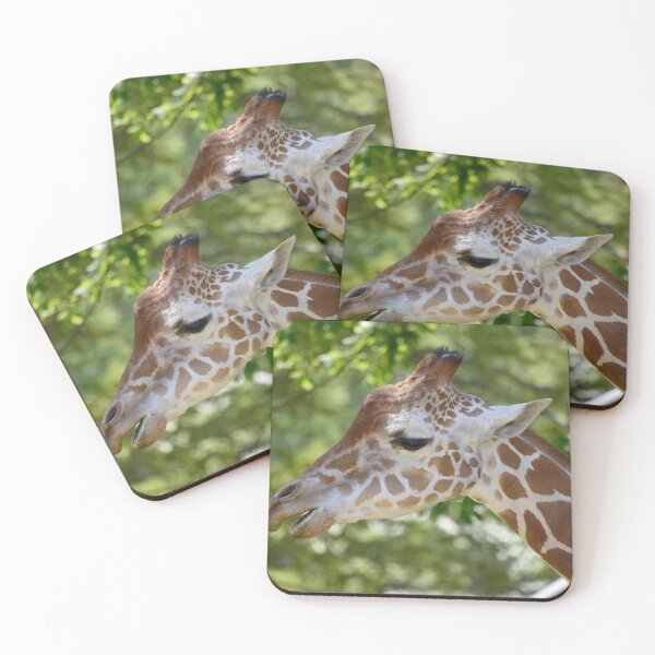 Item preview, Giraffe Willow at the Maryland Zoo designed and sold by Zoo and Nature Photography by Karie.