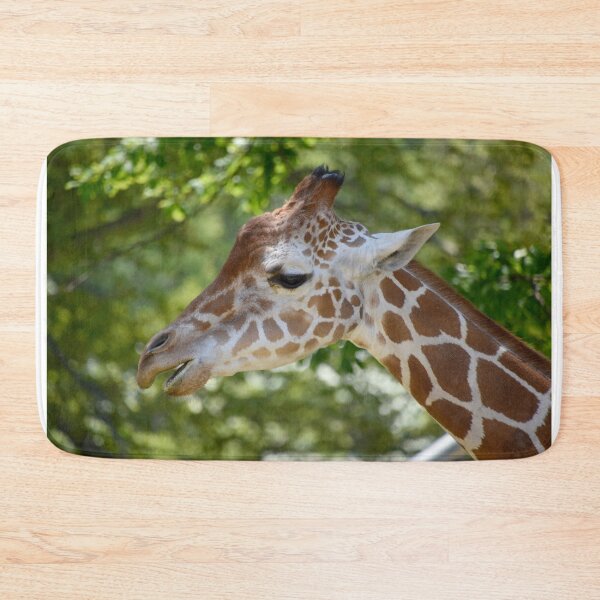 Item preview, Giraffe Willow at the Maryland Zoo designed and sold by Zoo and Nature Photography by Karie.