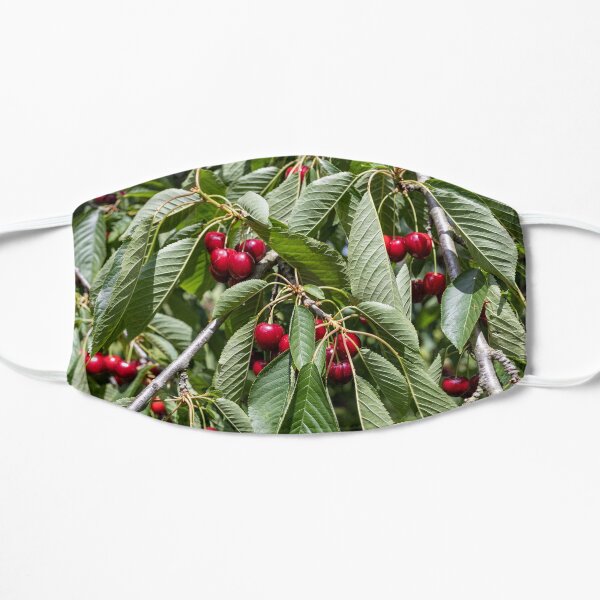 Red cherries in a tree Mask