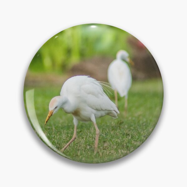 Item preview,  Cattle Egret 2 + 2 designed and sold by KensLensDesigns.