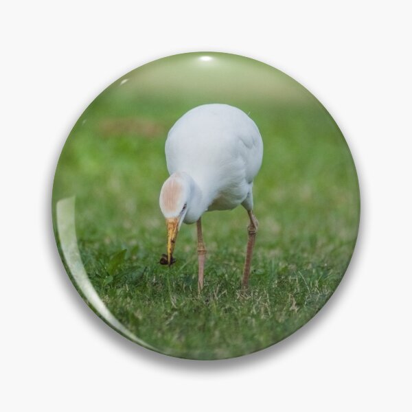 Item preview, Cattle Egret  designed and sold by KensLensDesigns.