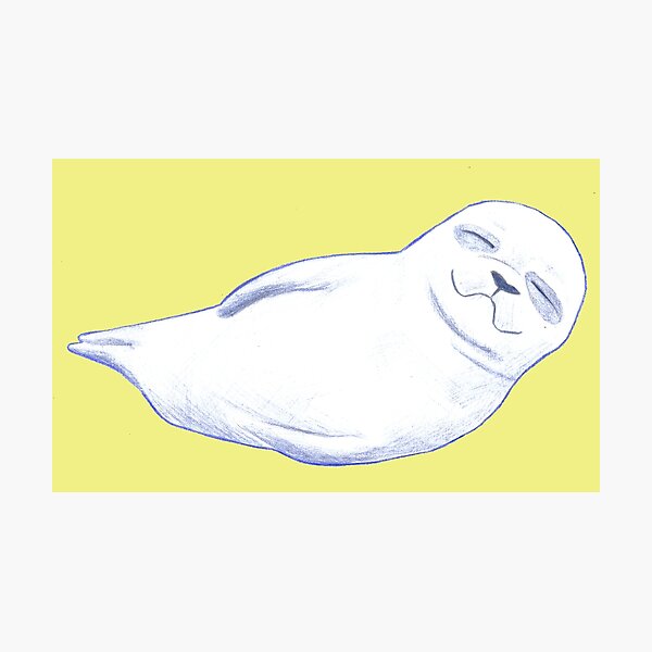 Item preview, Flying Seals designed and sold by nloooo.