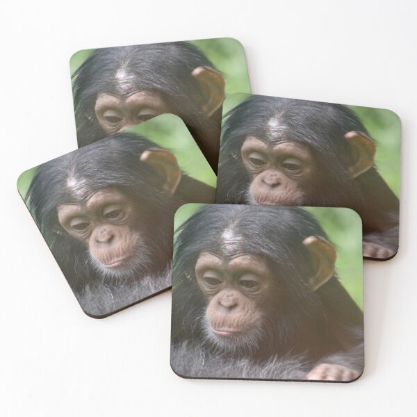 Item preview, Baby Chimpanzee Lola at the Maryland Zoo designed and sold by Zoo and Nature Photography by Karie.