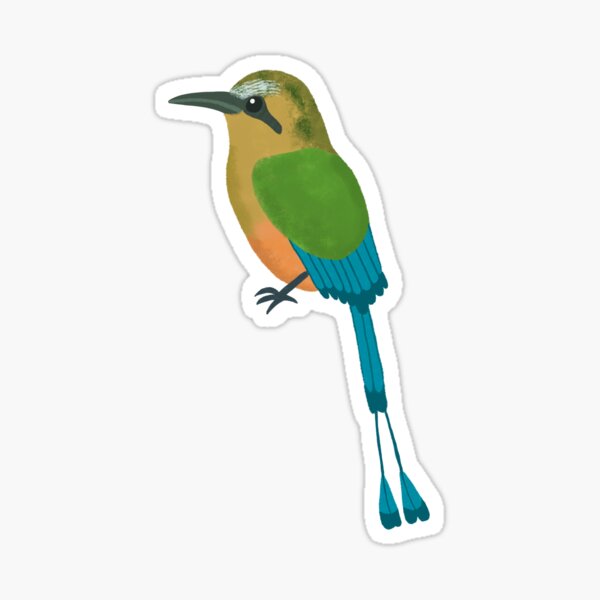 Turquoisebrowed Motmot Sitting On A Branch Stock Photo  Download Image Now   TurquoiseBrowed Motmot Animal Animal Behavior  iStock