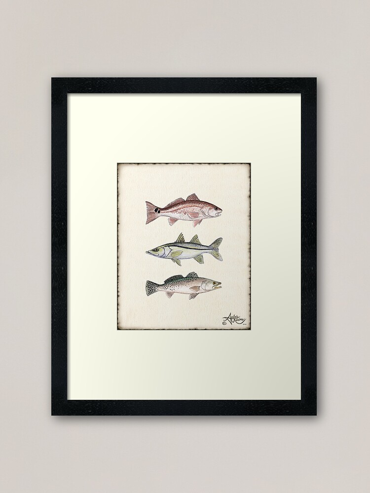 Thumbnail 1 of 7, Framed Art Print, "Inshore Slam"  by Amber Marine ~ watercolor redfish, snook, and trout art, © 2013 designed and sold by AmberMarine.