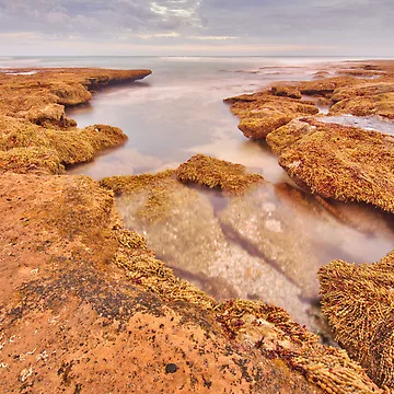 Artwork thumbnail, Open Rock Pool by John Sharp