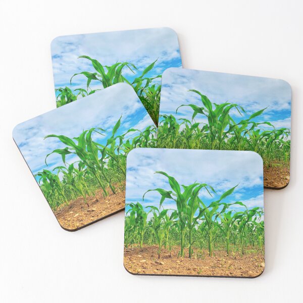 Item preview, Corn growing in the field designed and sold by captureasecond.