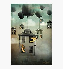Birdhouse 2 Photographic Print