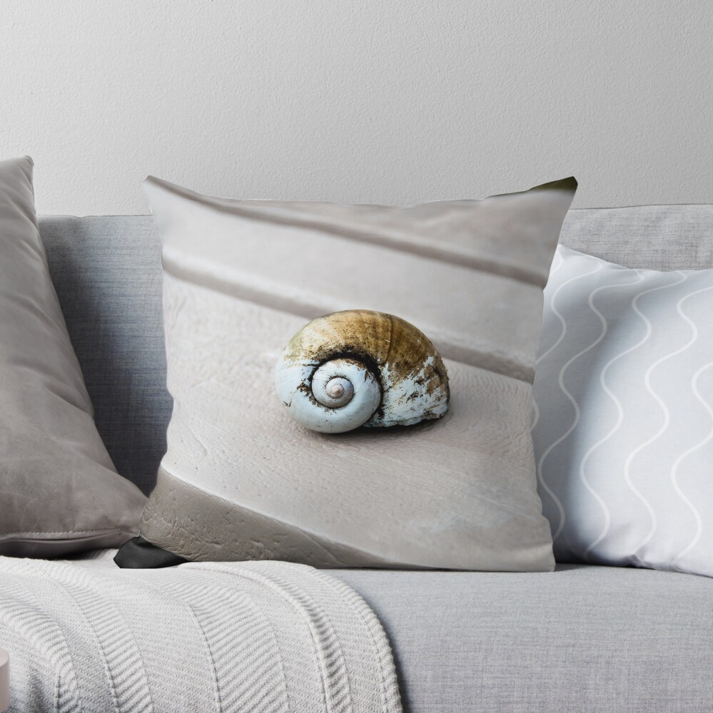 snail pillow