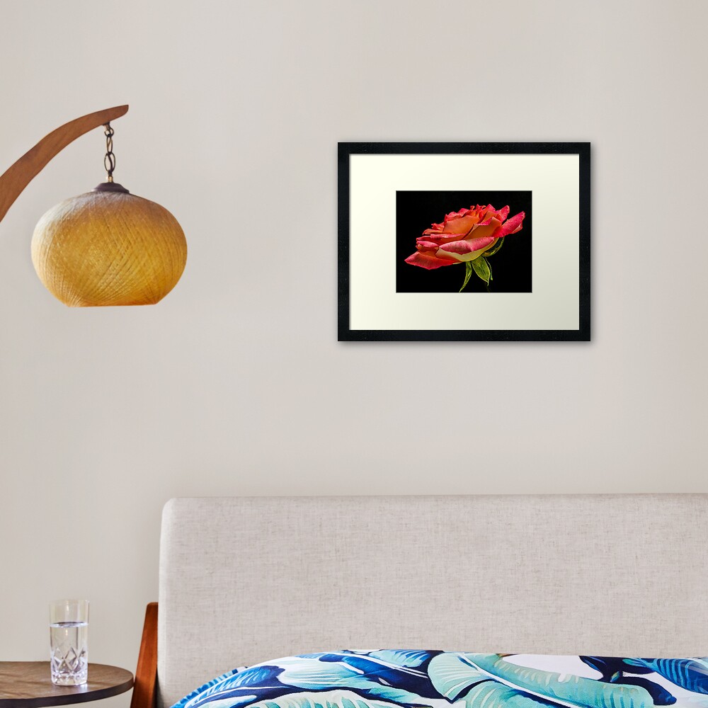 Like Rose Petals Love Water Framed Art Print