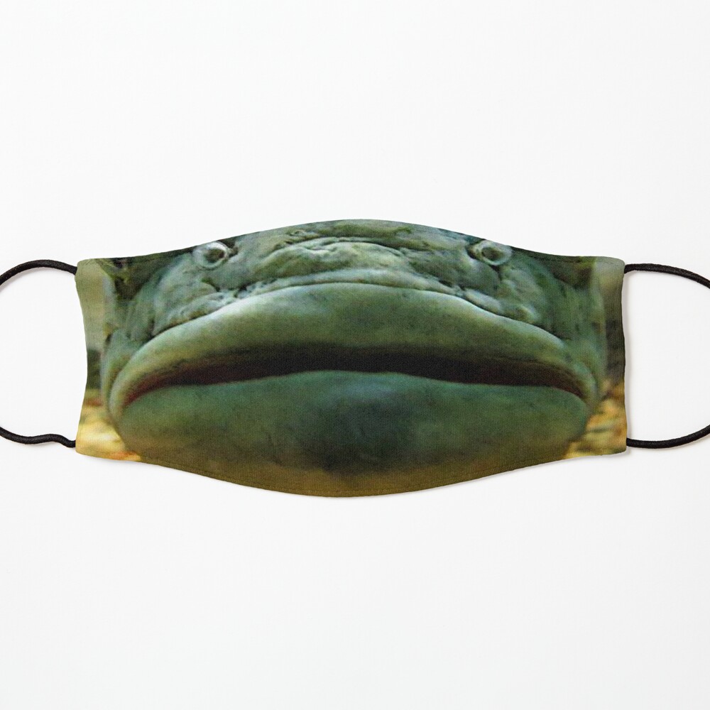 fish lips mask