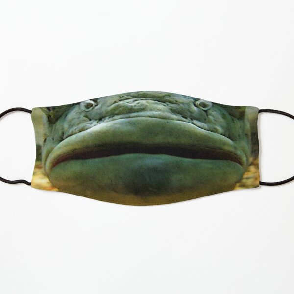 fishmouth mask