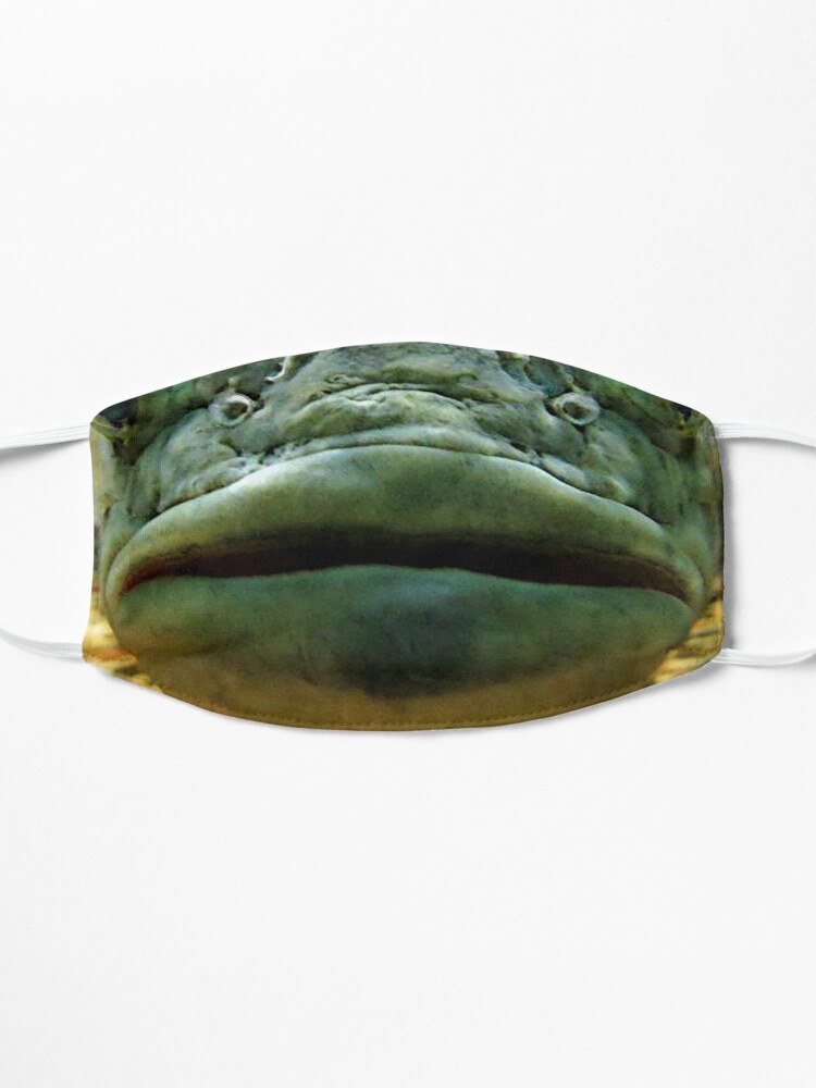 Ugly Mouth Fish Face Mask Mask for Sale by Fred Seghetti