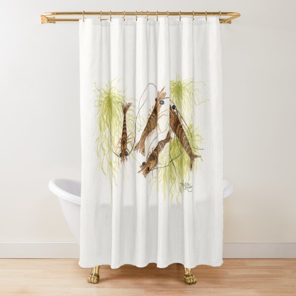 "Shrimp" by Amber Marine ~ watercolor painting, © 2013 Shower Curtain